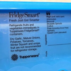 Fridge Smart by Tupperware blue container approximately 12x6x3